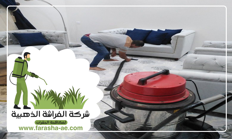 شركة تنظيف مجالس في ابوظبي 4 شركة تنظيف مجالس في ابوظبي