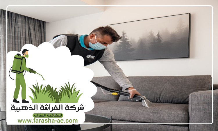 شركة تنظيف مجالس في ابوظبي 3 شركة تنظيف مجالس في ابوظبي