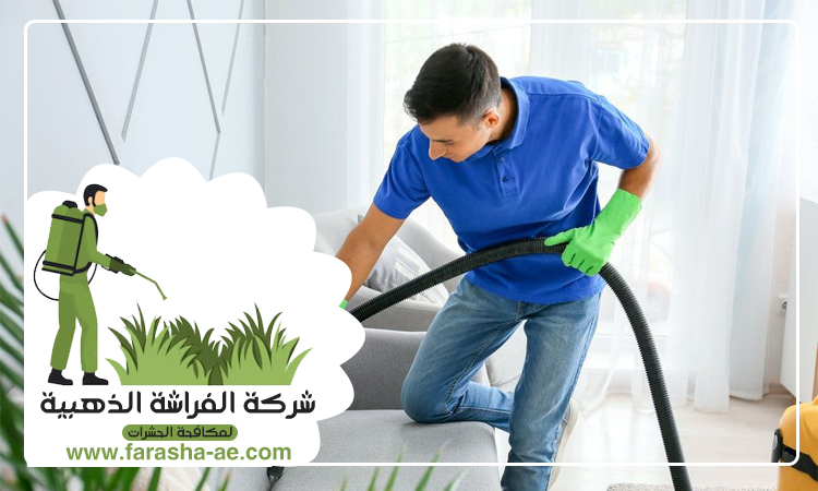 شركة تنظيف مجالس في ام القيوين 2 شركة تنظيف مجالس