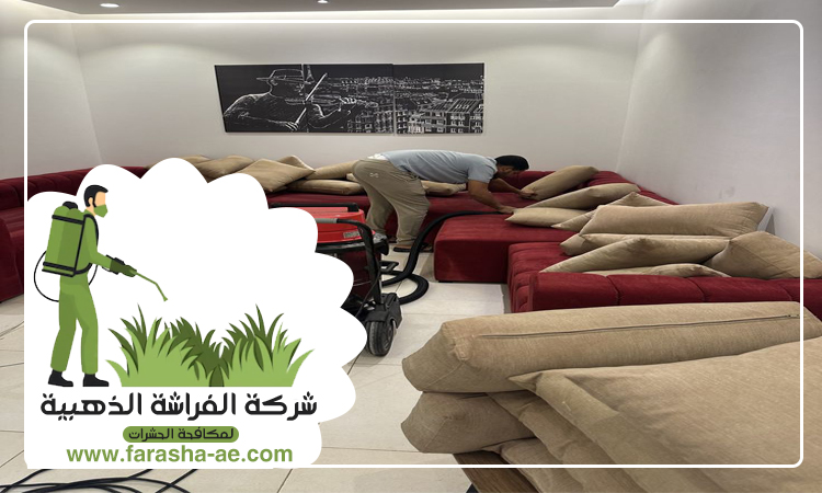 شركة تنظيف مجالس في راس الخيمة 4 شركة تنظيف مجالس في راس الخيمة