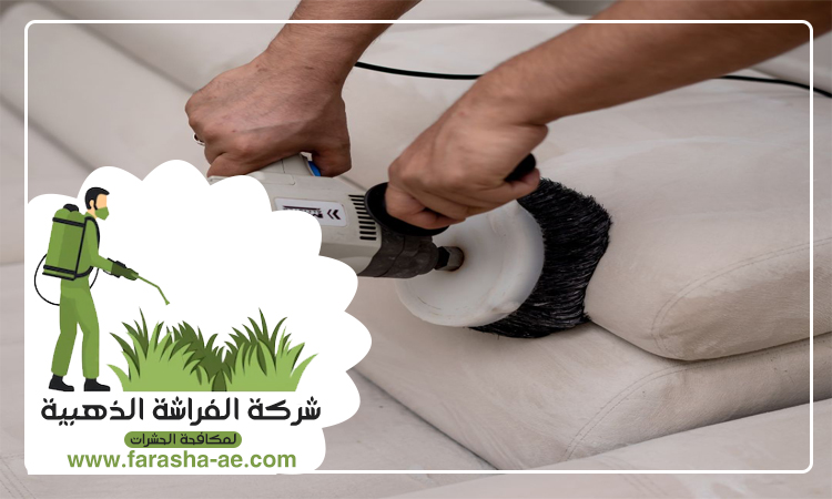 شركة تنظيف مجالس في دبي 4 شركة تنظيف مجالس في دبي