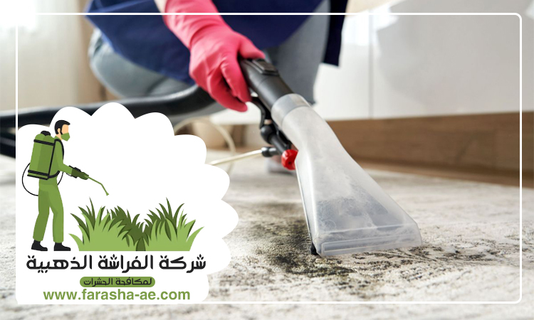 شركة تنظيف مفروشات في عجمان 4 شركة تنظيف مفروشات في عجمان