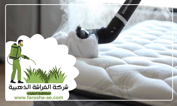 شركة تنظيف مفروشات في الشارقة 4 شركة تنظيف مفروشات في الشارقة