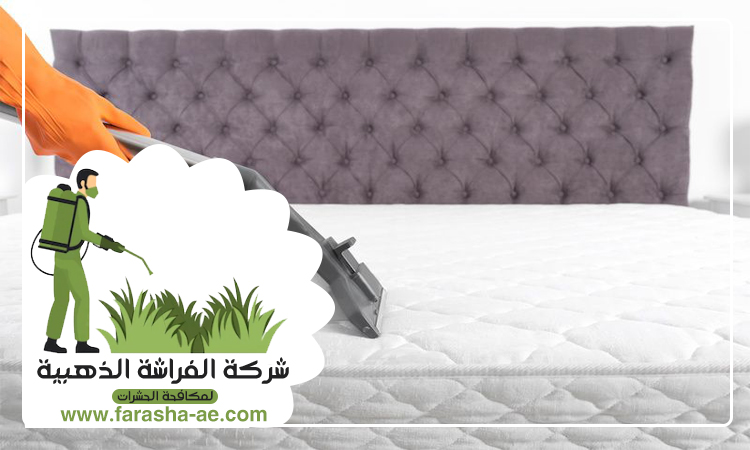 شركة تنظيف مفروشات في ابوظبي 4 شركة تنظيف مفروشات في ابوظبي