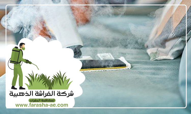 شركة تنظيف مفروشات في الفجيرة 4 شركة تنظيف مفروشات في الفجيرة
