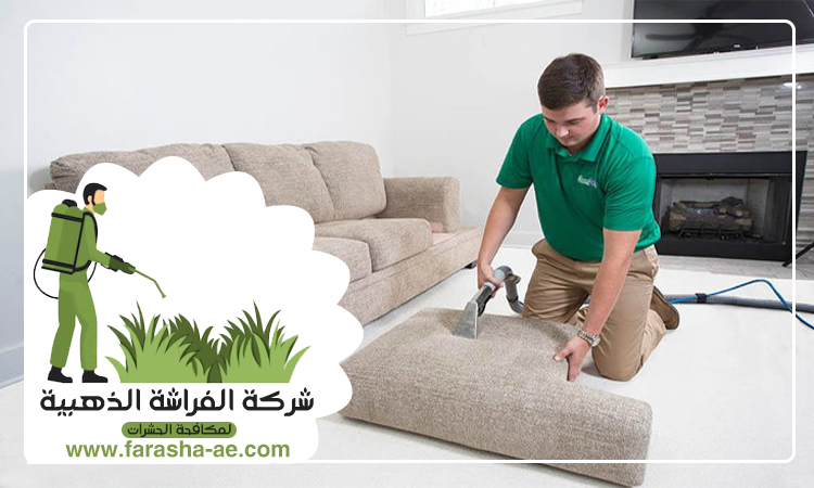 شركة تنظيف مفروشات في الشارقة 2 شركة تنظيف مفروشات