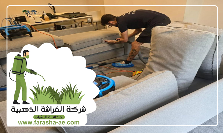 شركة تنظيف مفروشات في الشارقة 3 شركة تنظيف مفروشات في الشارقة