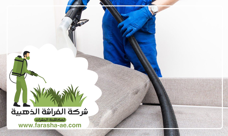 شركة تنظيف مفروشات في ابوظبي 2 شركة تنظيف مفروشات