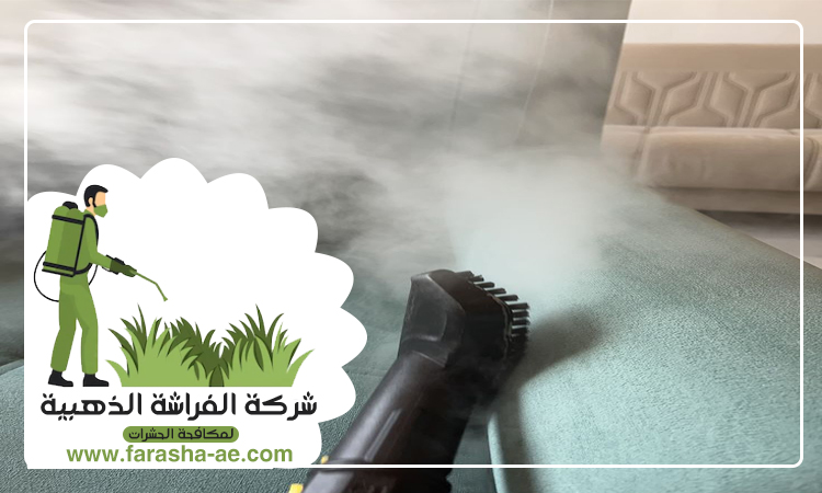 شركة تنظيف مفروشات في ام القيوين 5 شركة تنظيف مفروشات في ام القيوين