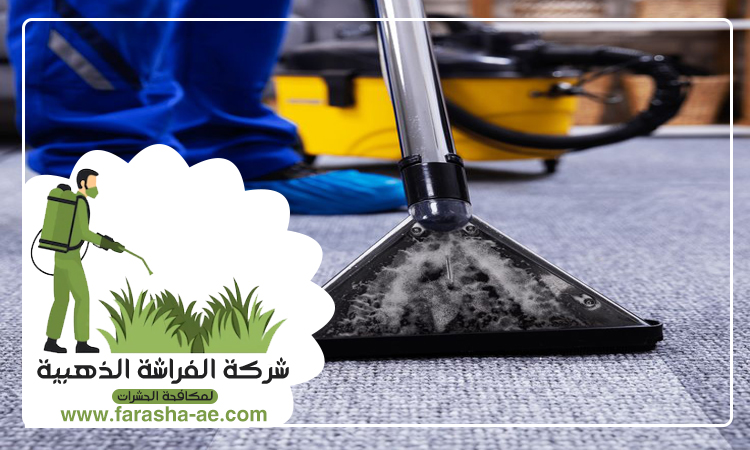 شركة تنظيف مفروشات في الفجيرة 3 شركة تنظيف مفروشات في الفجيرة