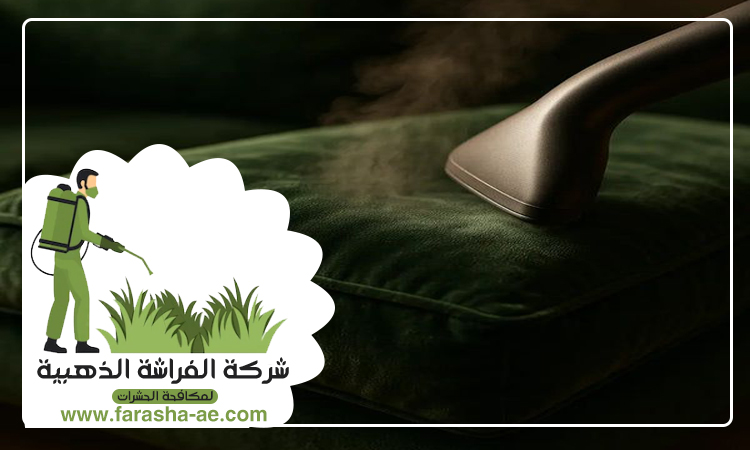 شركة تنظيف مفروشات في دبي 3 شركة تنظيف مفروشات في دبي