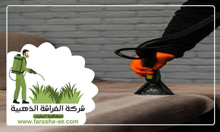 شركة تنظيف مفروشات في ام القيوين 3 شركة تنظيف مفروشات في ام القيوين