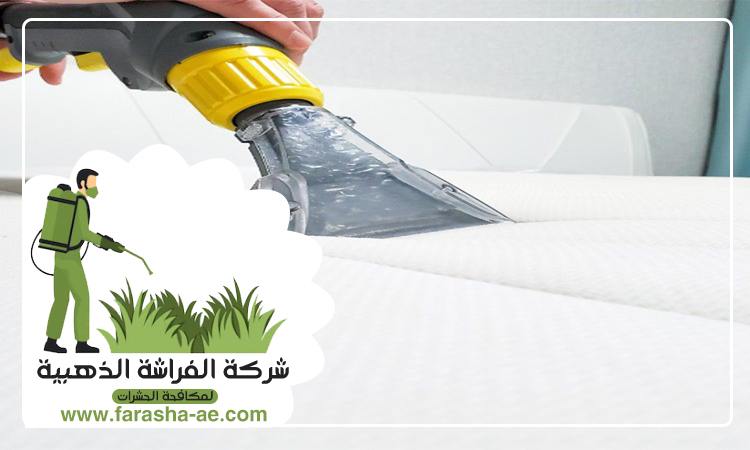 شركة تنظيف مفروشات في ام القيوين 4 شركة تنظيف مفروشات في ام القيوين
