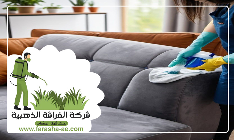 شركة تنظيف مفروشات في ام القيوين 2 شركة تنظيف مفروشات