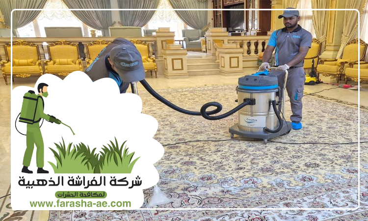 شركة تنظيف شقق في عجمان 5 شركة تنظيف شقق في عجمان