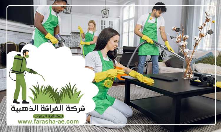 شركة تنظيف شقق في راس الخيمة 3 شركة تنظيف شقق في راس الخيمة