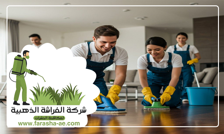 شركة تنظيف شقق في عجمان 4 شركة تنظيف شقق في عجمان