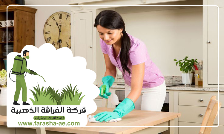 شركة تنظيف شقق في راس الخيمة 2 شركة تنظيف شقق