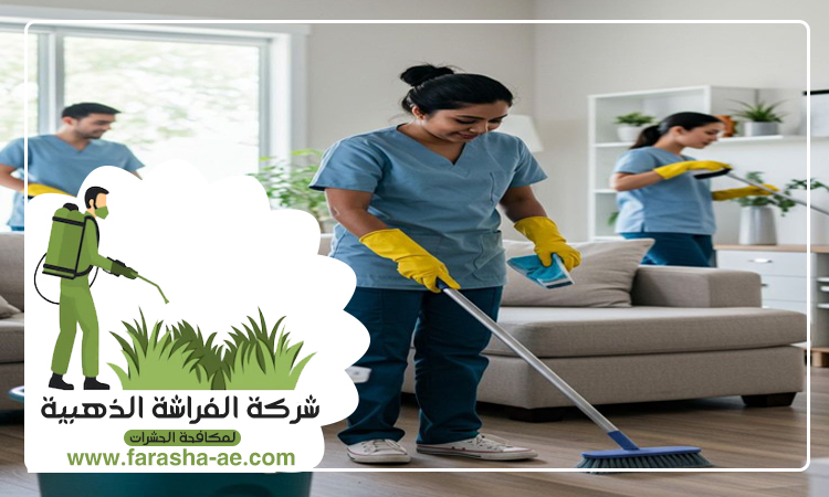 شركة تنظيف شقق