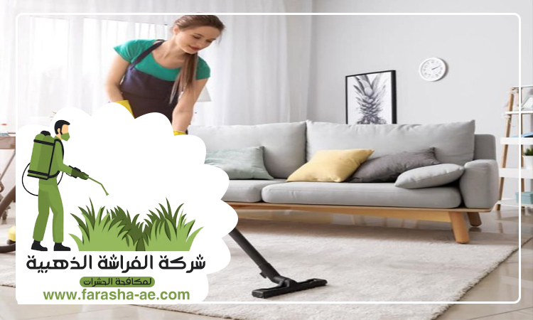 شركة تنظيف شقق في راس الخيمة 5 شركة تنظيف شقق في راس الخيمة