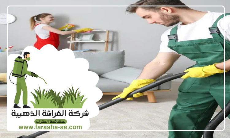 شركة تنظيف شقق في العين 2 شركة تنظيف شقق