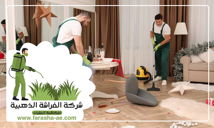 شركة تنظيف شقق