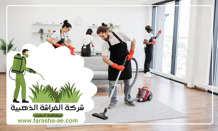 شركة تنظيف شقق في الفجيرة 4 شركة تنظيف شقق في الفجيرة