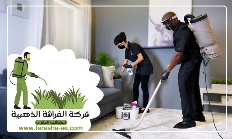 شركة تنظيف شقق في العين 3 شركة تنظيف شقق في العين