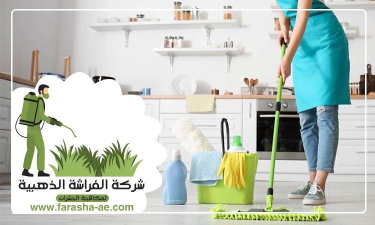 شركة تنظيف منازل