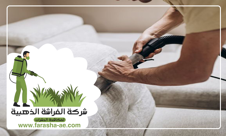 شركة تنظيف كنب في عجمان 4 شركة تنظيف كنب في عجمان