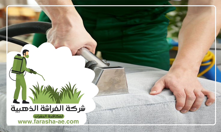 شركة تنظيف كنب في عجمان 2 شركة تنظيف كنب