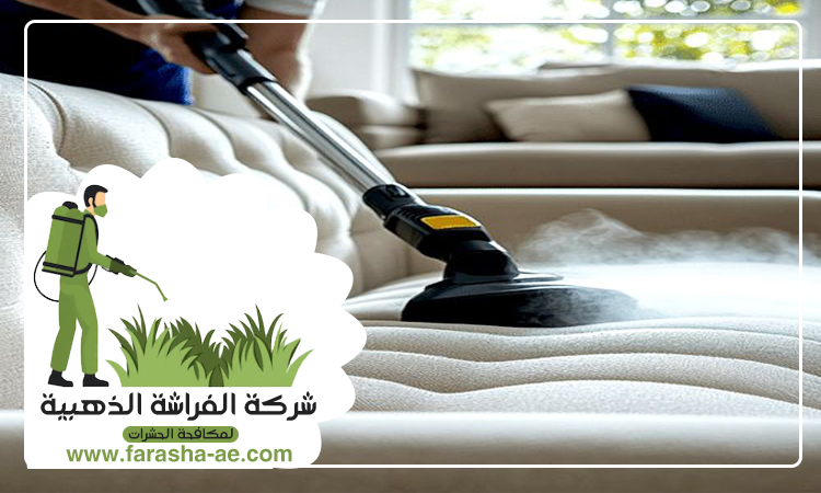 شركة تنظيف كنب