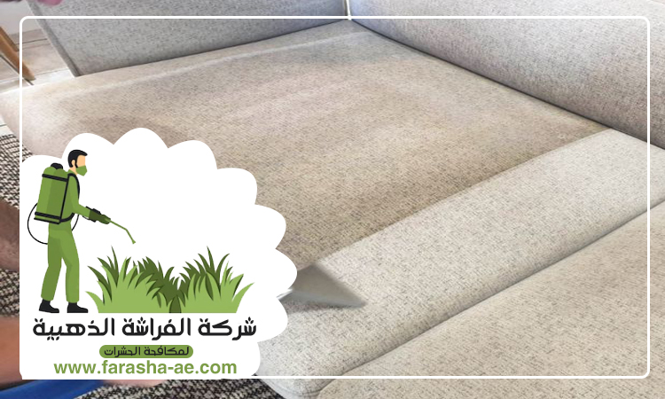 شركة تنظيف كنب في الفجيرة 4 شركة تنظيف كنب في الفجيرة