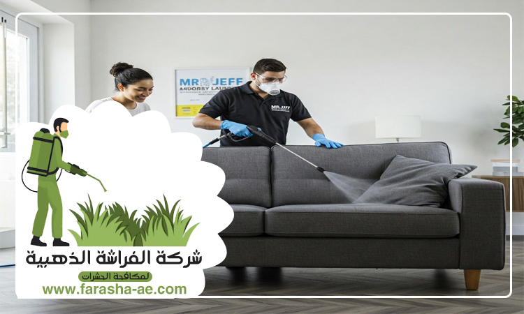 شركة تنظيف كنب في راس الخيمة 4 شركة تنظيف كنب في راس الخيمة