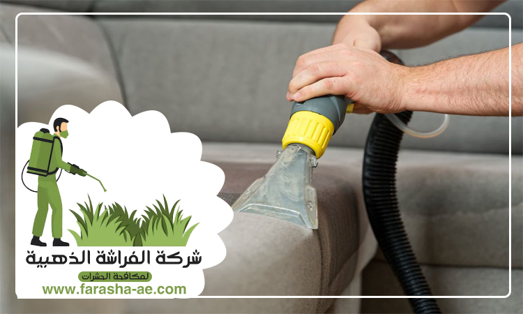 شركة تنظيف كنب في العين 5 شركة تنظيف كنب في العين