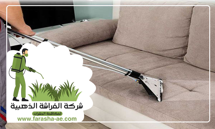 شركة تنظيف كنب