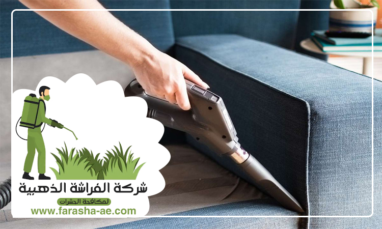 شركة تنظيف كنب في العين 4 شركة تنظيف كنب في العين