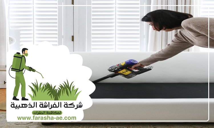 شركة تنظيف كنب في ام القيوين 5 شركة تنظيف كنب في ام القيوين