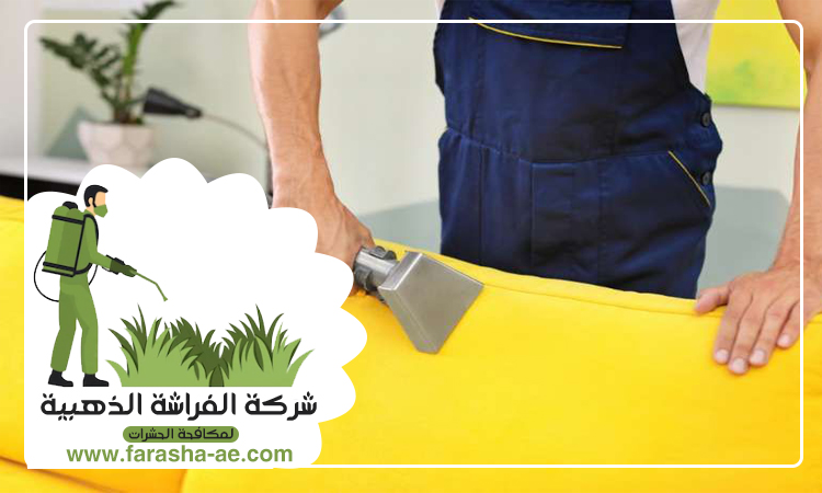 شركة تنظيف كنب