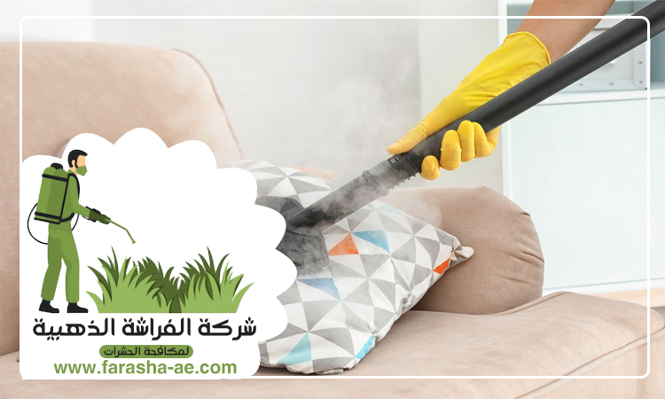 شركة تنظيف كنب في ابوظبي 4 شركة تنظيف كنب في ابوظبي