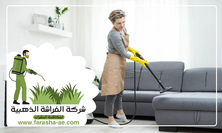 شركة تنظيف كنب في ابوظبي 5 شركة تنظيف كنب في ابوظبي