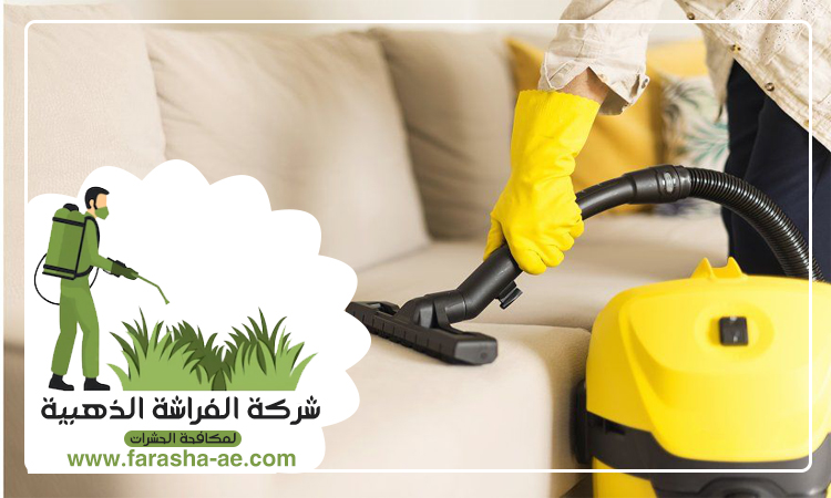 شركة تنظيف كنب