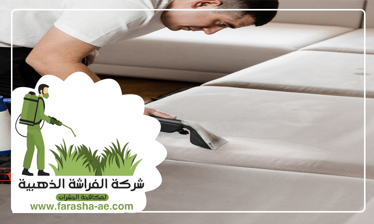 شركة تنظيف كنب