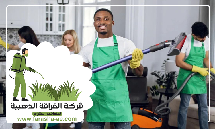 شركة تنظيف فلل في عجمان 5 شركة تنظيف فلل في عجمان