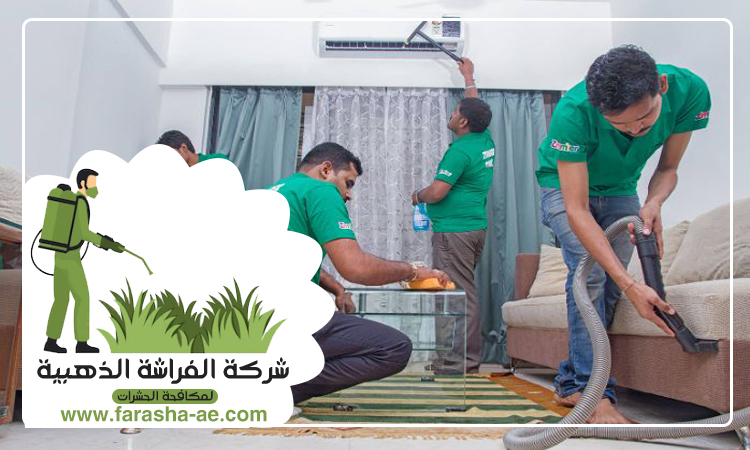 شركة تنظيف فلل في عجمان 4 شركة تنظيف فلل في عجمان