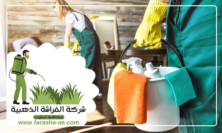 شركة تنظيف فلل في دبي 4 شركة تنظيف فلل في دبي