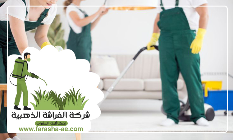 شركة تنظيف فلل