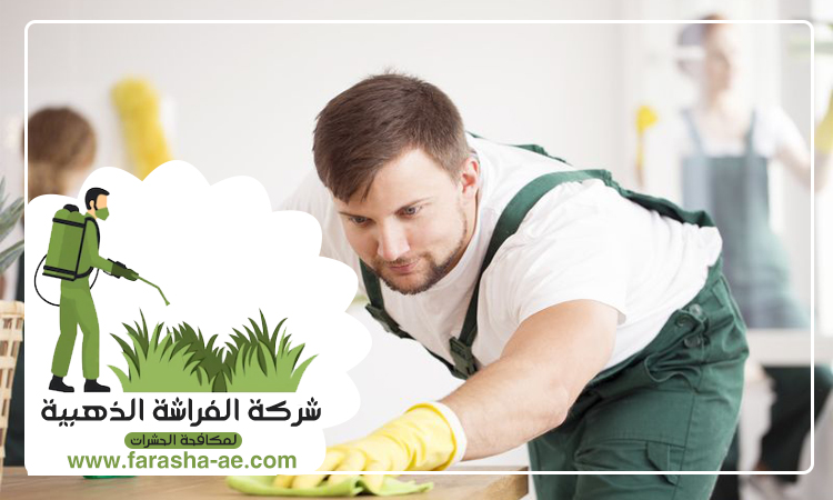 شركة تنظيف فلل في الفجيرة 5 شركة تنظيف فلل في الفجيرة