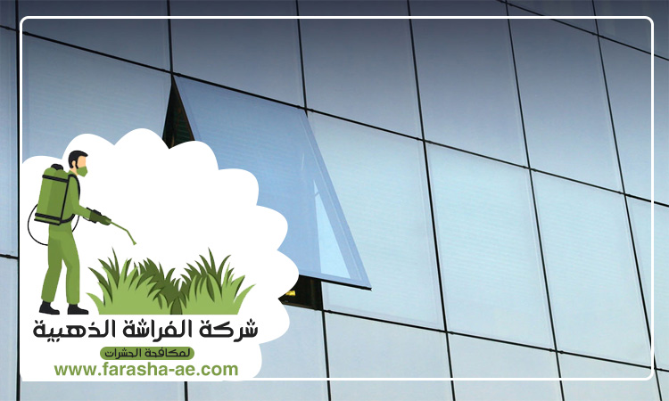 شركة تنظيف واجهات في دبي 3 شركة تنظيف واجهات في دبي