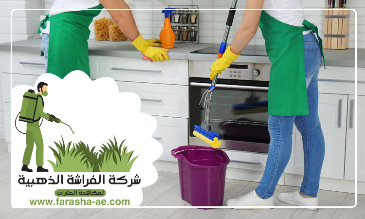شركة تنظيف فلل في الشارقة 4 شركة تنظيف فلل في الشارقة